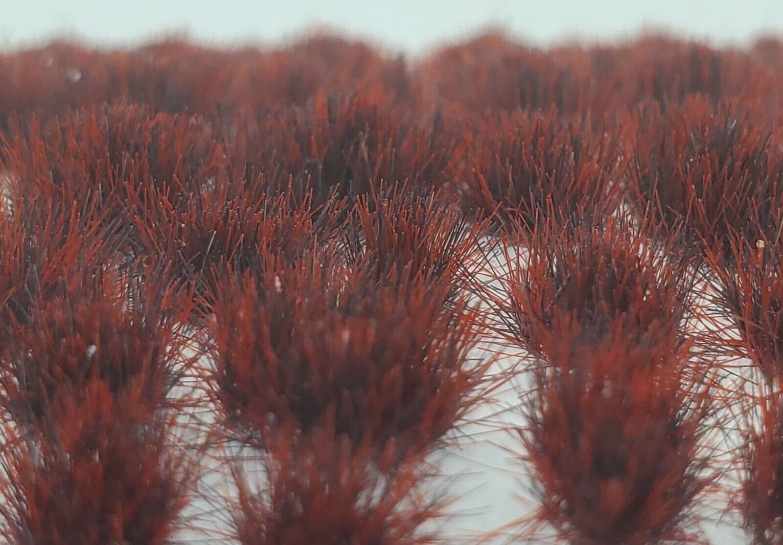 Self Adhesive Static Grass Tufts- Miniature Scenery/terrain- Dark Red - 4mm